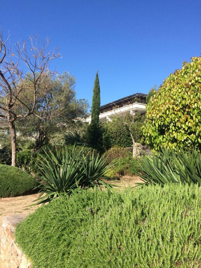Jardins En Bastia (Corsica)